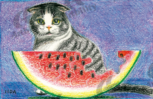 アートビリティ 猫と西瓜
