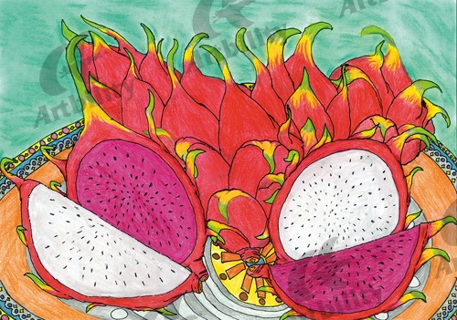 登録作品の沖縄のドラゴンフルーツ