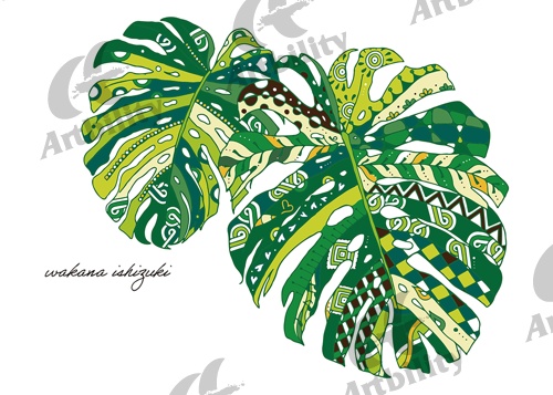 登録作品のモンステラ