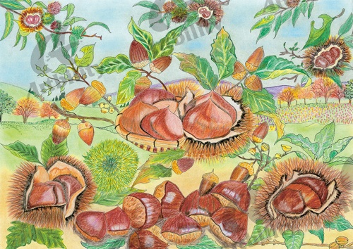 登録作品の秋・栗・どんぐりのイラスト