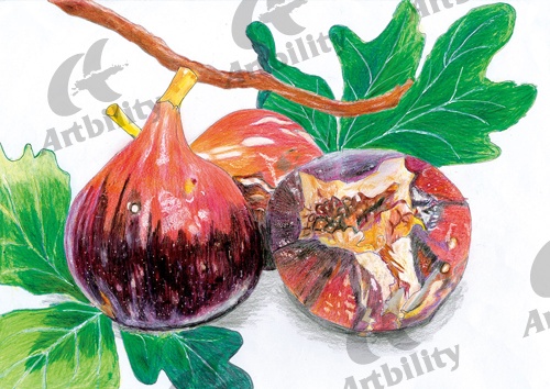 登録作品のいちじく