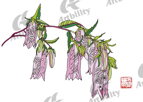 登録作品のホタルブクロ