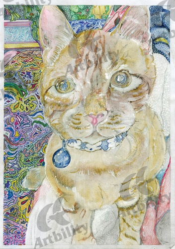 登録作品の菜の花畑